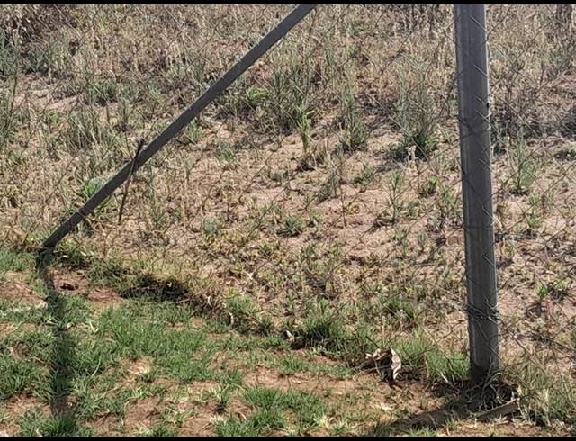 LAND FOR SALE IN MANKWENG